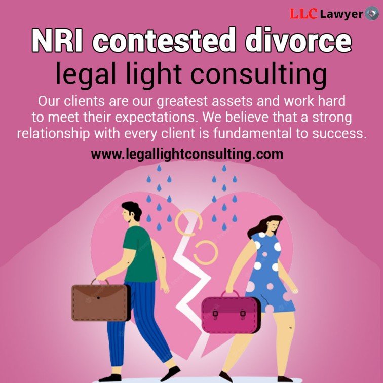legal light consulting