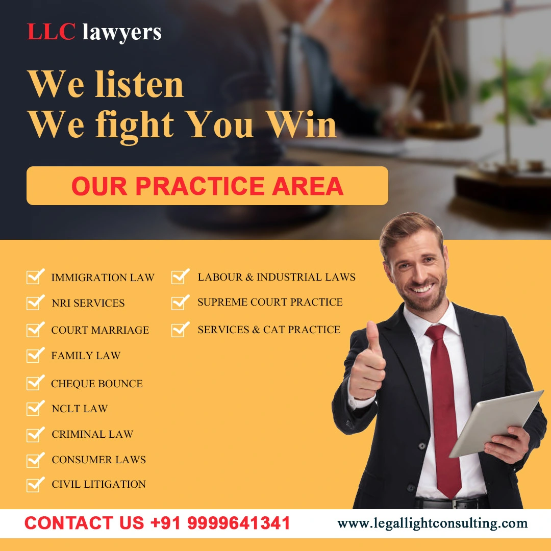 Legal Light Consulting